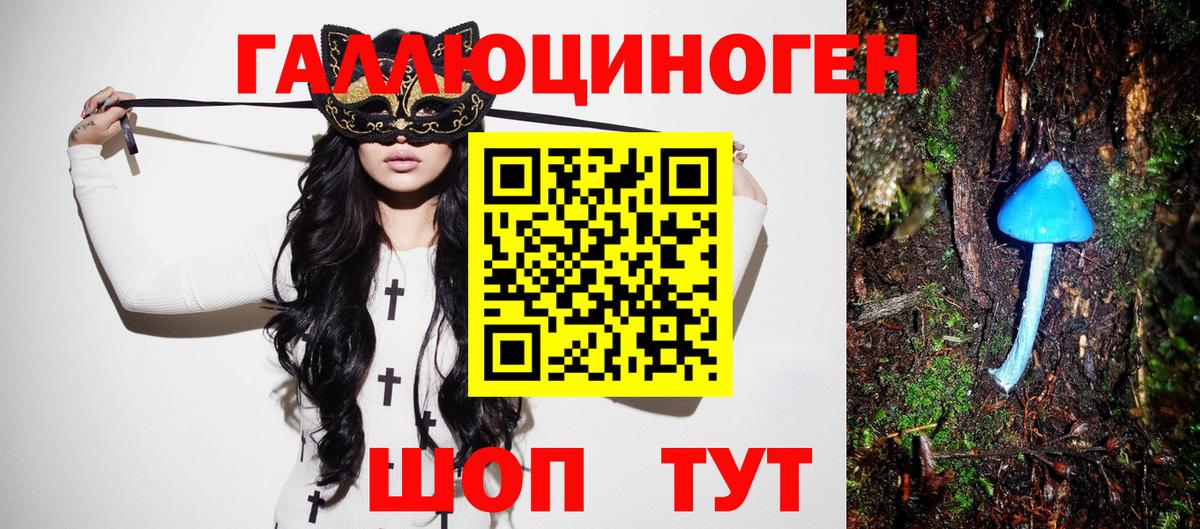Качканар  Галлюциногенные грибы прущие грибы  магазин    Вход с VPN  Галлюциногенные грибы мицелий 