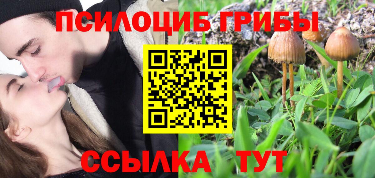 Галлюциногенные грибы мухоморы Качканар
